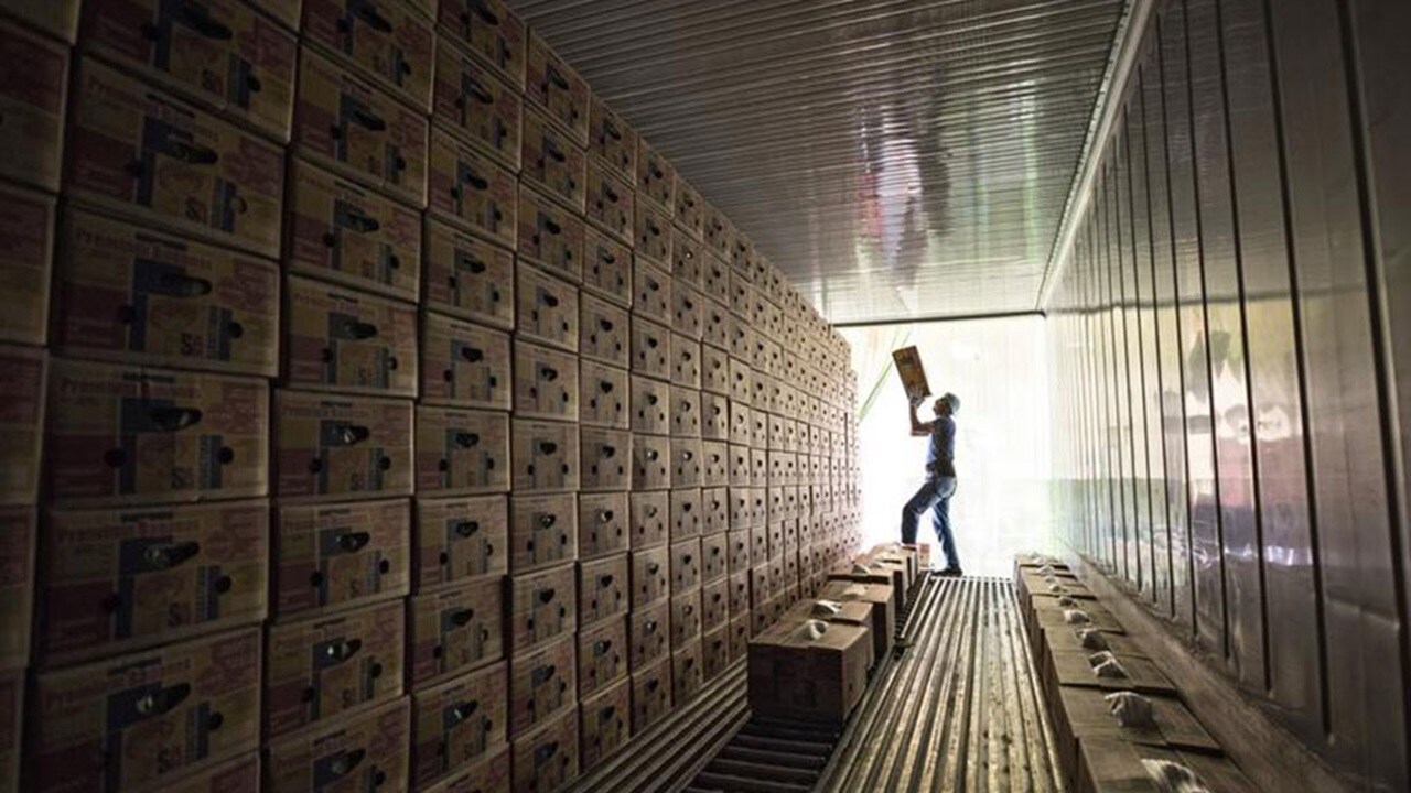 Man sorting cargo in reefer container