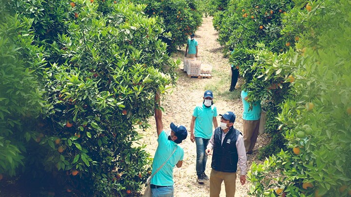 A fruitful partnership spanning two decades