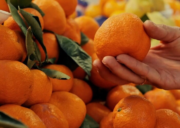 Cold chain transport - Close-up of oranges — a perishable fruit.