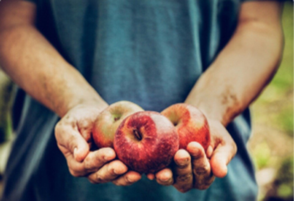 Perishables