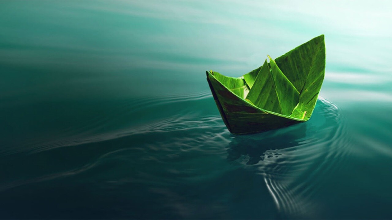 Leaf turned into a boat floating on the water