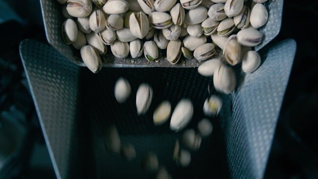 Cashew Cleaning