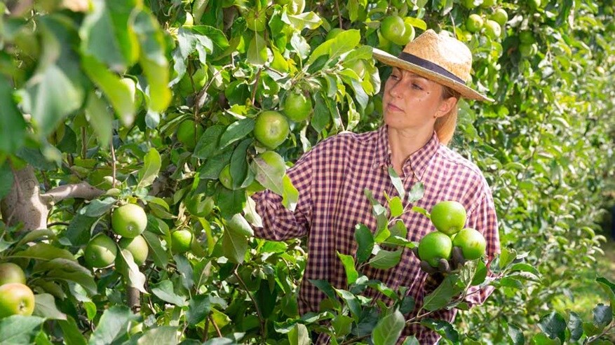 That’s what we call fresh: Maersk at Fruit Logistica 2023