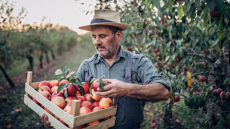 That’s what we call fresh: Maersk at Fruit Logistica 2023