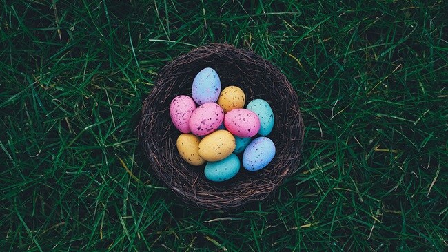 Mini eggs in nest on grass