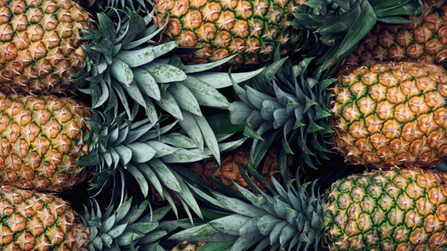 Picture of pineapples