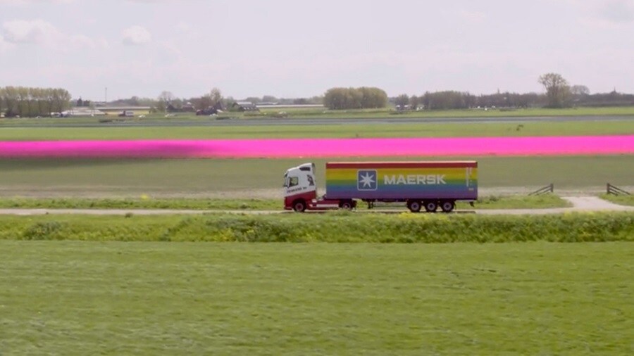 truck is seen driving on a road with a prominent pink line, adding a splash of color to the scene.