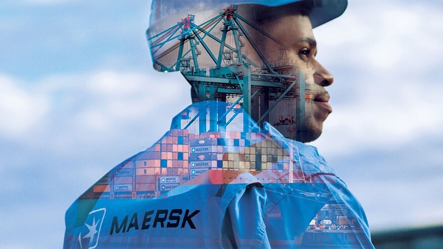 Seafarer cranes careers