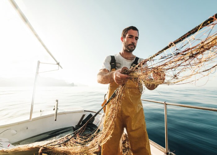 fish seafood